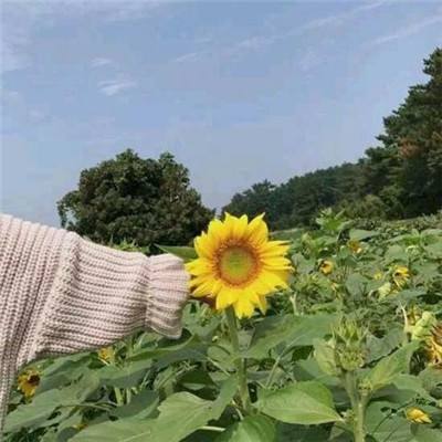 斗圣传说福利版下载